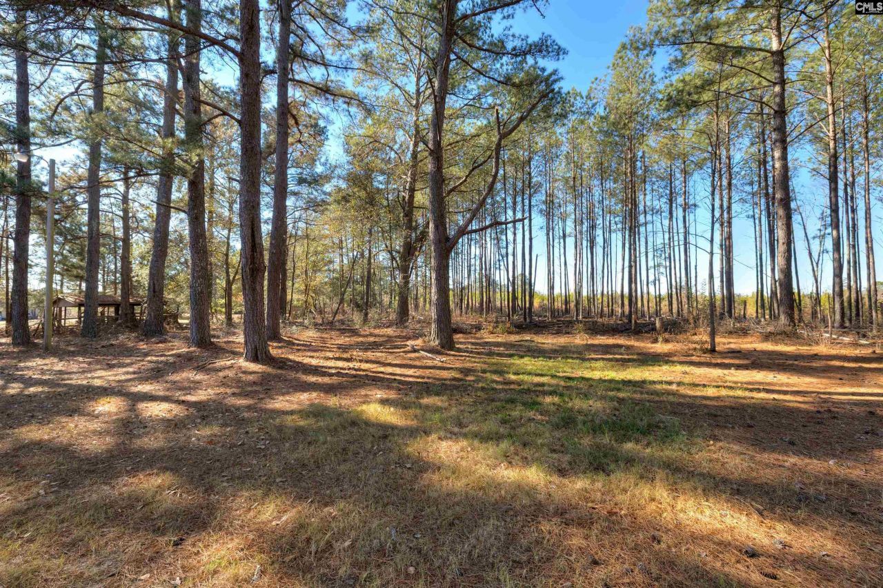 8107 Black River Road  Photo 6