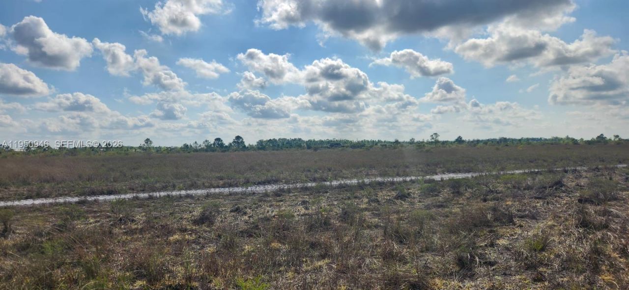 48345 Bermont Rd, Punta Gorda, FL 33982 Photo