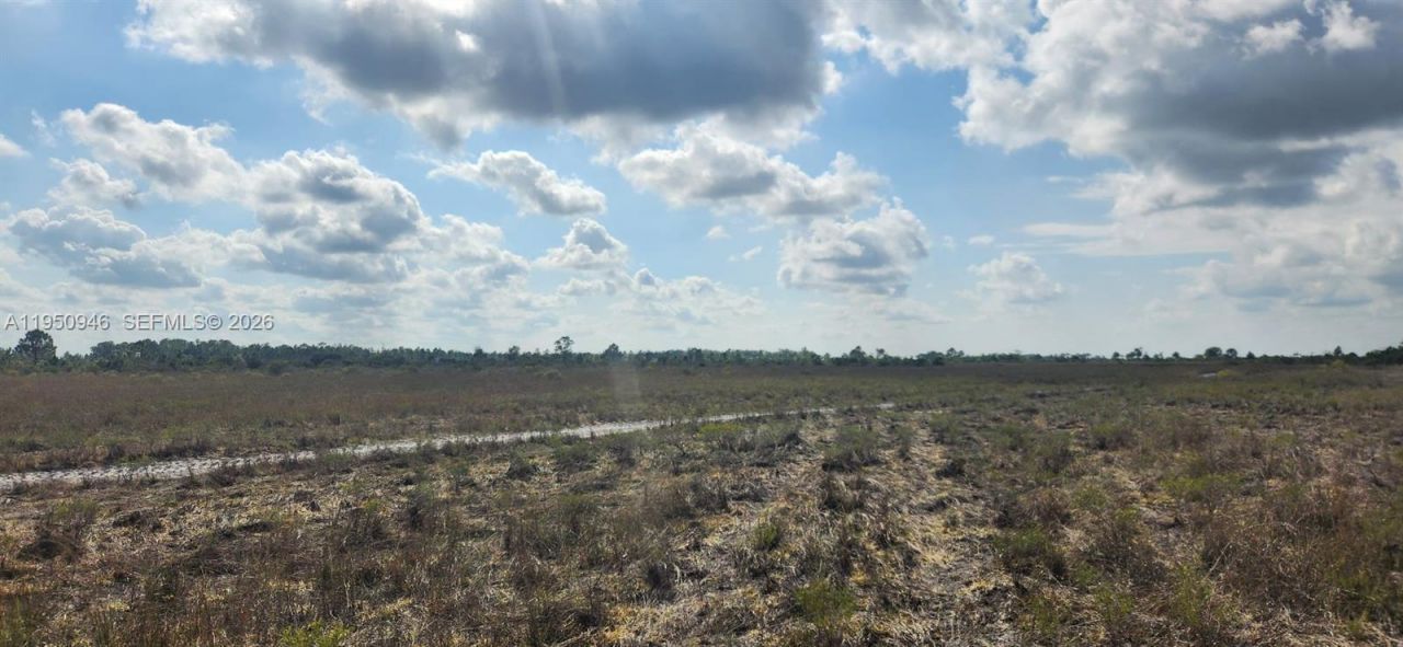 48345 Bermont Rd, Punta Gorda, FL 33982 Photo