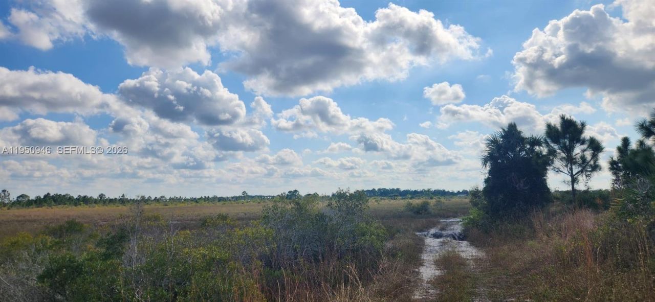 48345 Bermont Rd, Punta Gorda, FL 33982 Photo