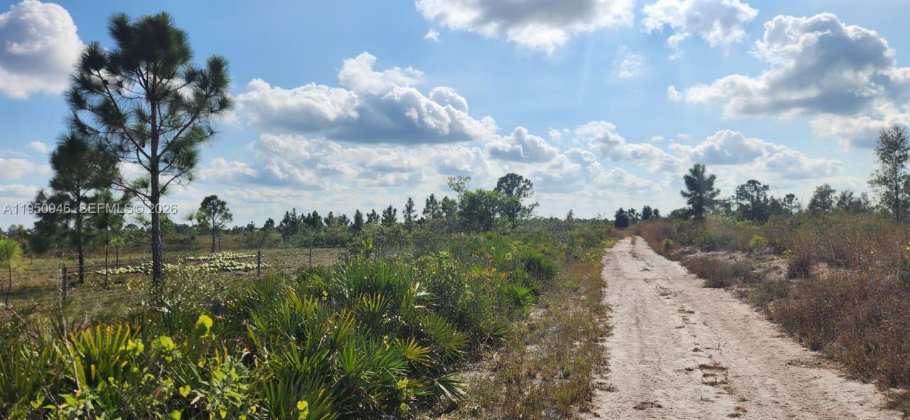 48345 Bermont Rd, Punta Gorda, FL 33982 Photo