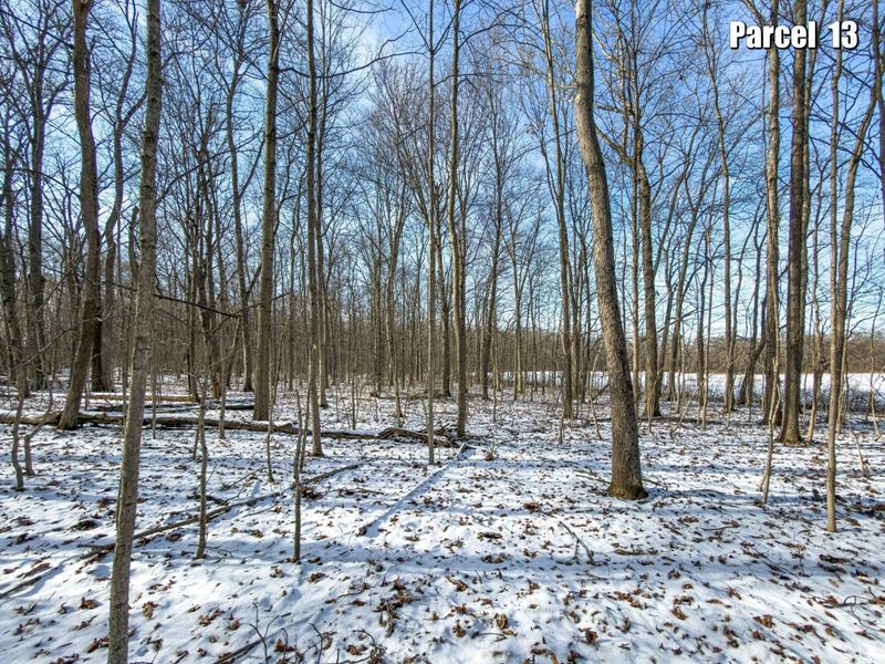 0 Hinton Mill Road, Marysville, OH 43040 Photo 31