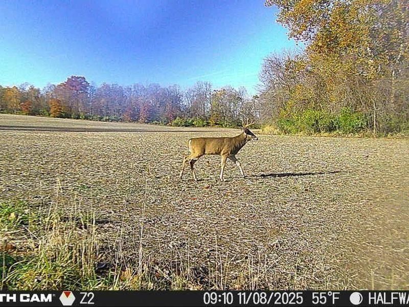 0 Hinton Mill Road, Marysville, OH 43040 Photo 33