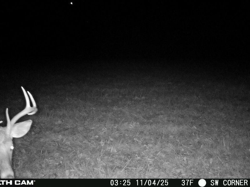 0 Hinton Mill Road, Marysville, OH 43040 Photo 34