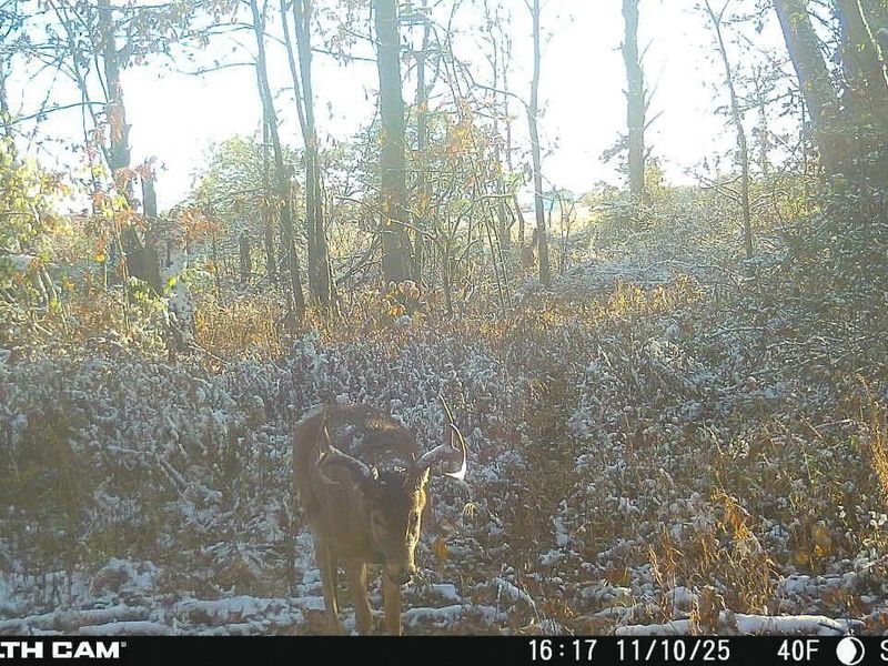 0 Hinton Mill Road, Marysville, OH 43040 Photo 35