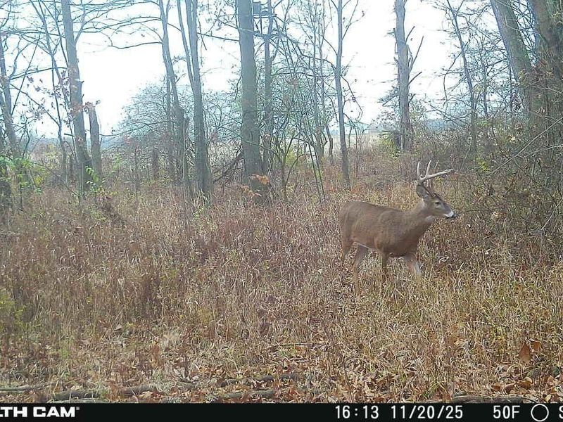 0 Hinton Mill Road, Marysville, OH 43040 Photo 36