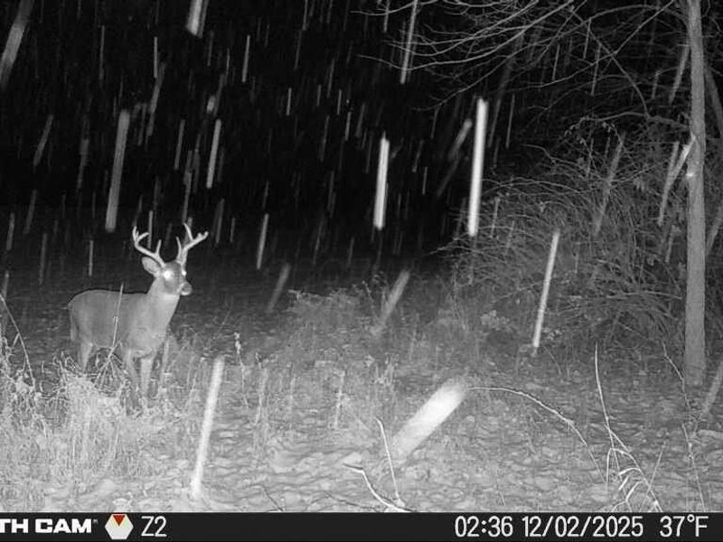 0 Hinton Mill Road, Marysville, OH 43040 Photo 37