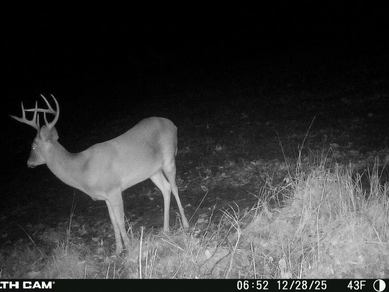 0 Hinton Mill Road, Marysville, OH 43040 Photo 38