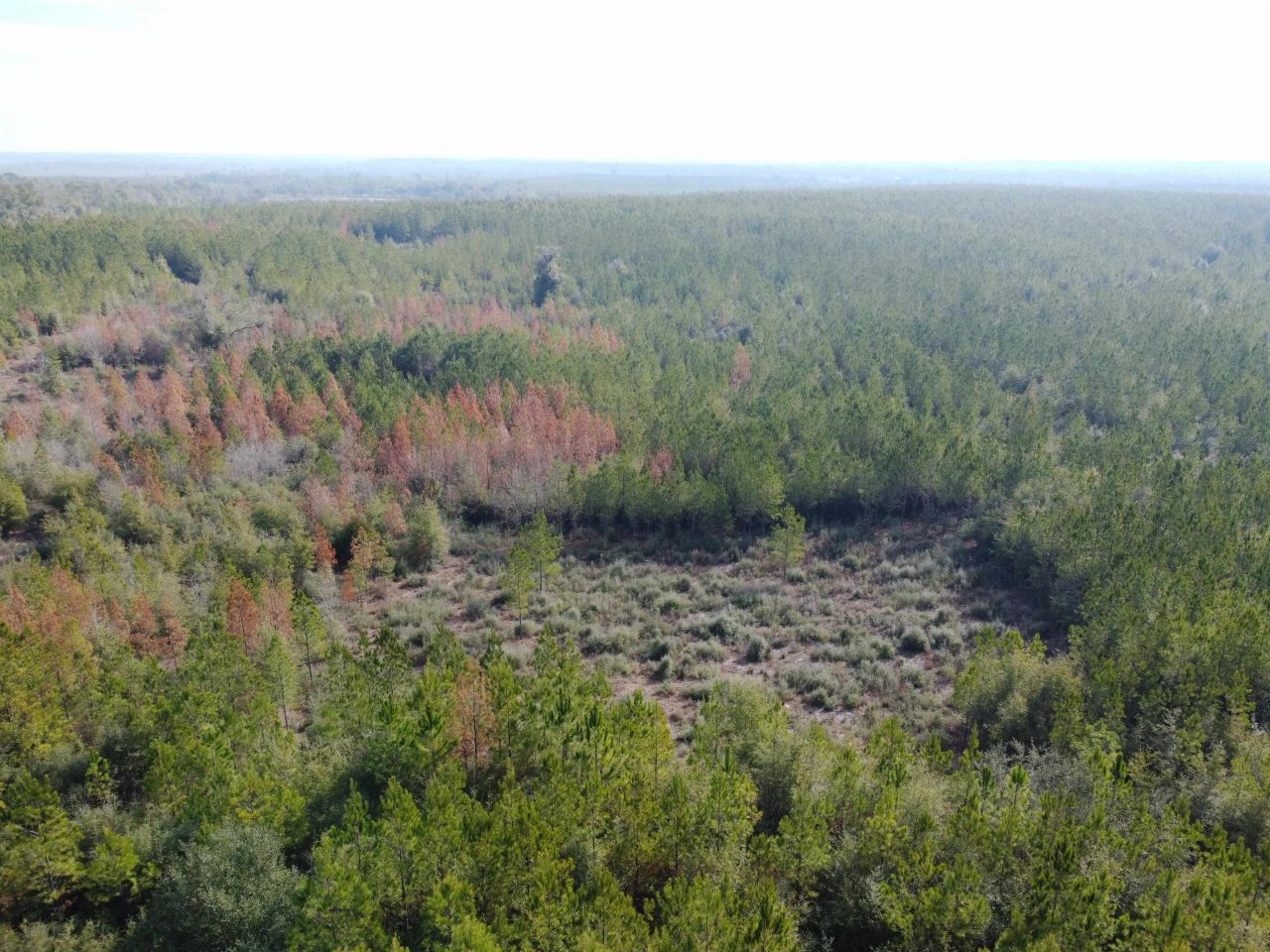 Xxx NW Church Road, Altha, FL 32421 Photo