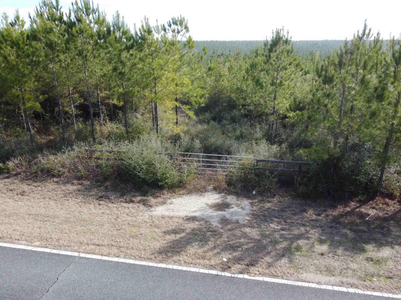 Xxx NW Church Road, Altha, FL 32421 Photo