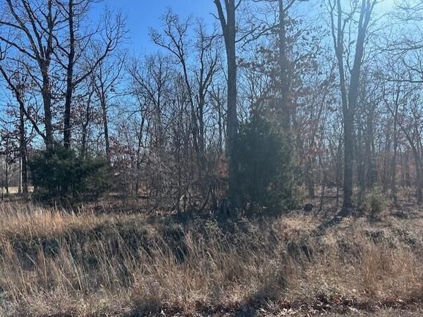 18 Ac Jenny Lane , Granby, MO 64844