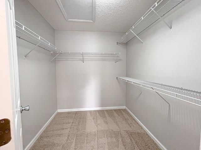 199 Sugar Mill Loop Photo 19