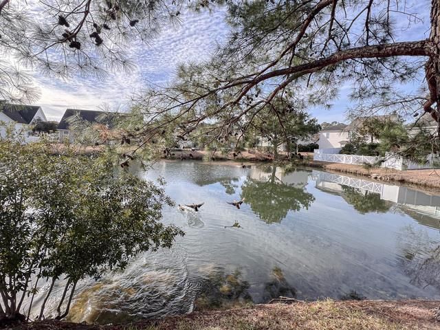 199 Sugar Mill Loop Photo 29