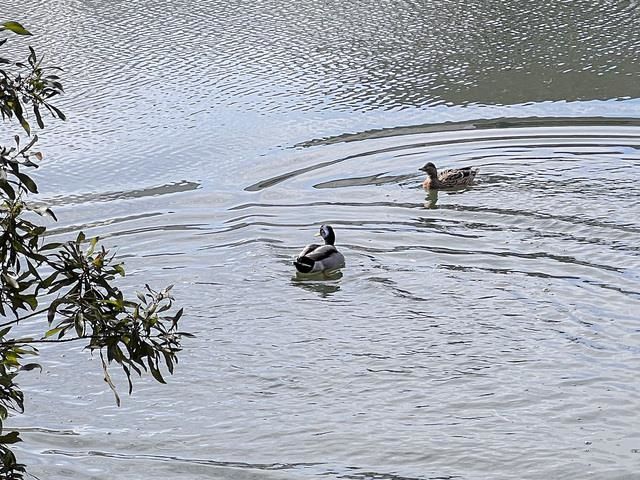 199 Sugar Mill Loop Photo 30