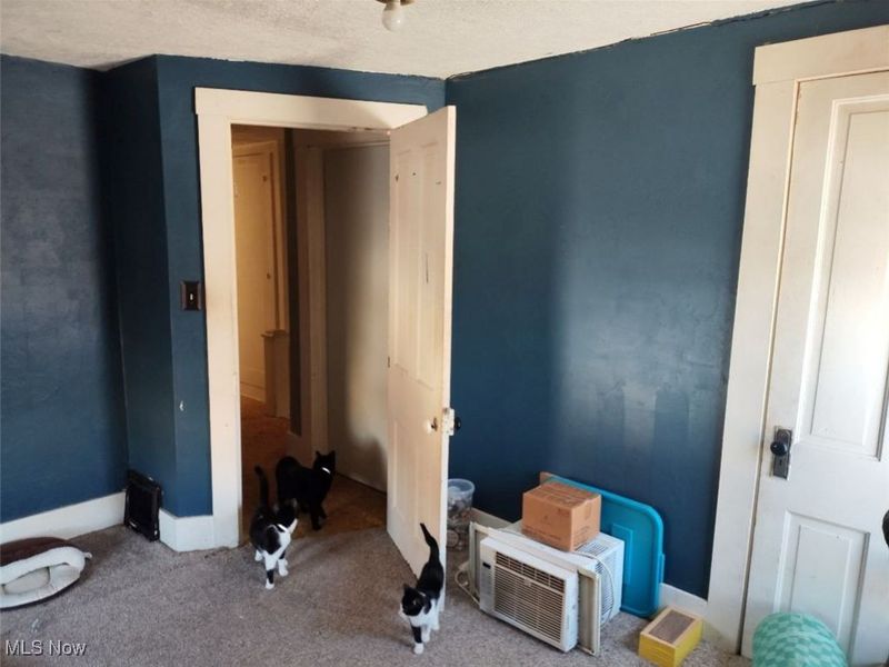 6760 Spruce Street, Sterling, OH 44276 Photo 16