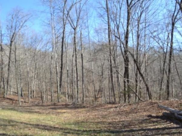 10.85ac Cheyenne Drive, Jamestown, TN 38556