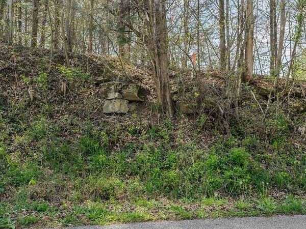 00 Big Springs Farm - Tract 31, Monroe, TN 38573