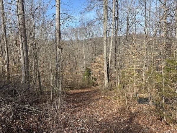 Lot 52 W Bobcat Ln, Wilder, TN 38589