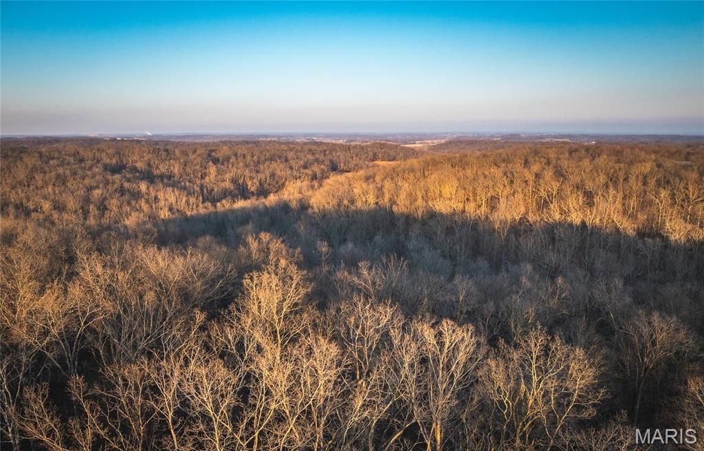 236 Cypress Lake Road, Burfordville, MO 63739 Main Photo