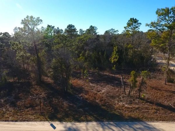 2150 SE 137TH COURT, MORRISTON, FL 32668