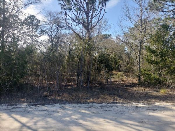 SE 137TH COURT, MORRISTON, FL 32668