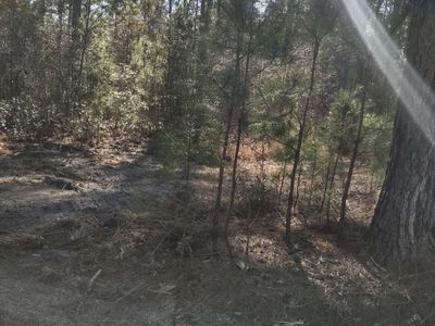 71 Breanna Court, Cottageville, SC 29435