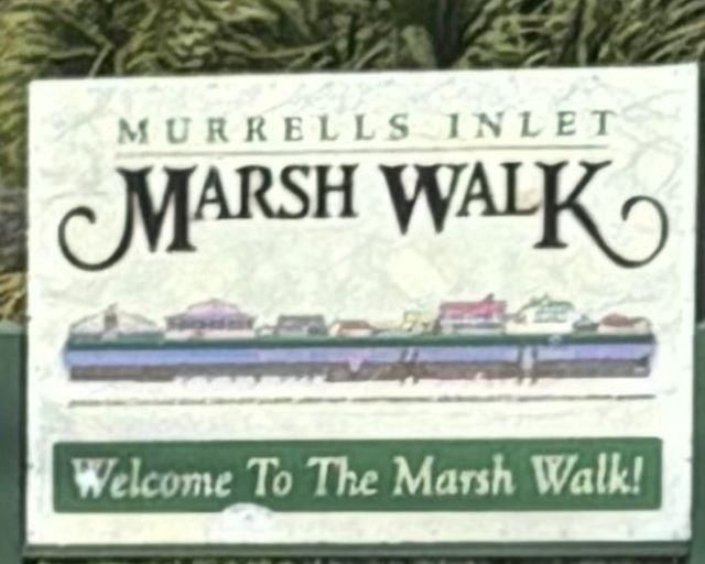 163 Glengrove Lane Photo 31