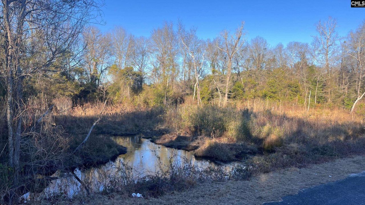 Tbd Millers Pond Road Photo 12