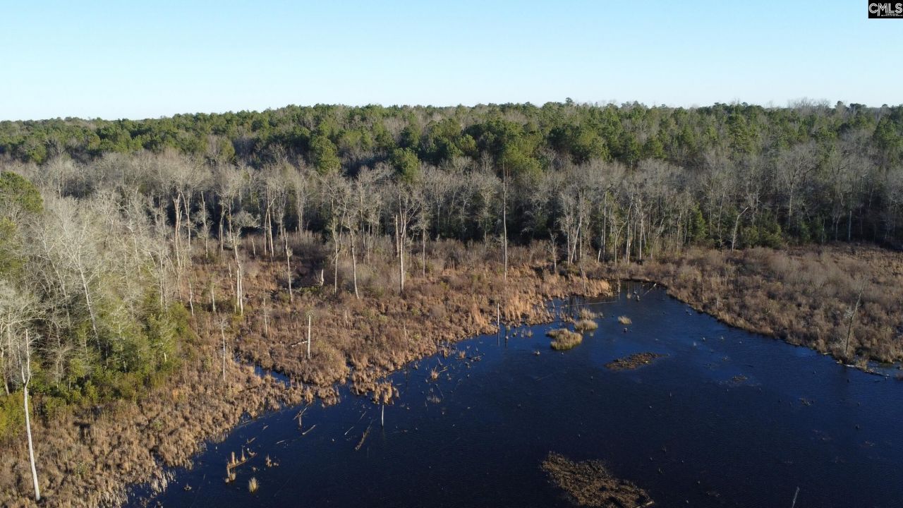 Tbd Millers Pond Road Photo 19