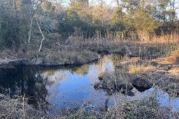 Tbd Millers Pond Road photo 4