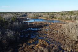 Tbd Millers Pond Road photo 4