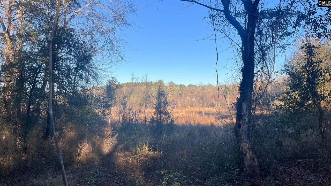 Tbd Millers Pond Road Photo 6