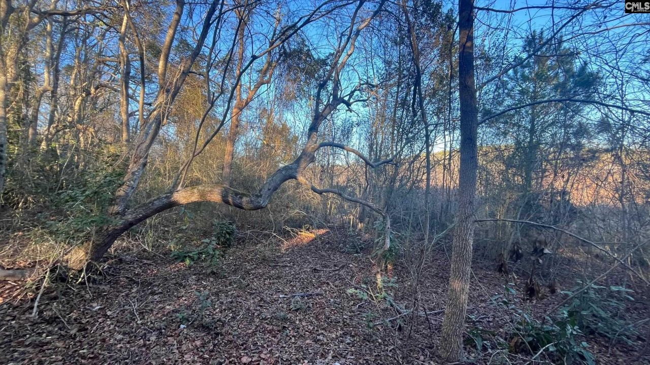 Tbd Millers Pond Road Photo 8