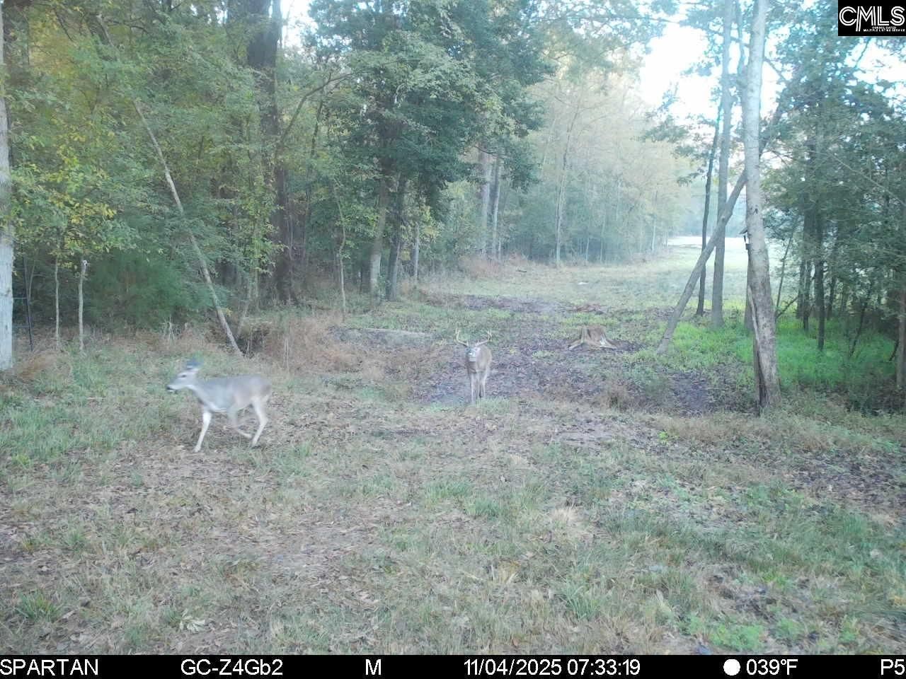 561 Church Road  Photo 10