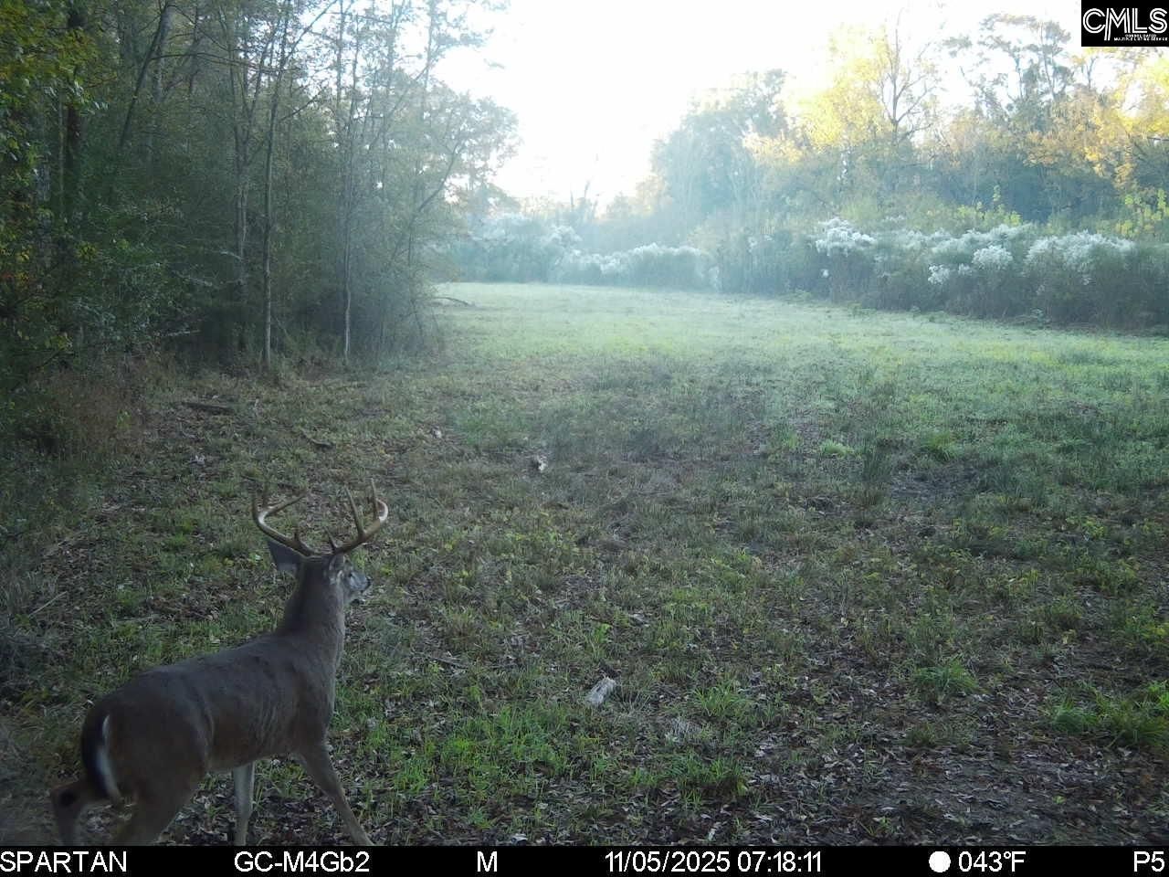 561 Church Road  Photo 11