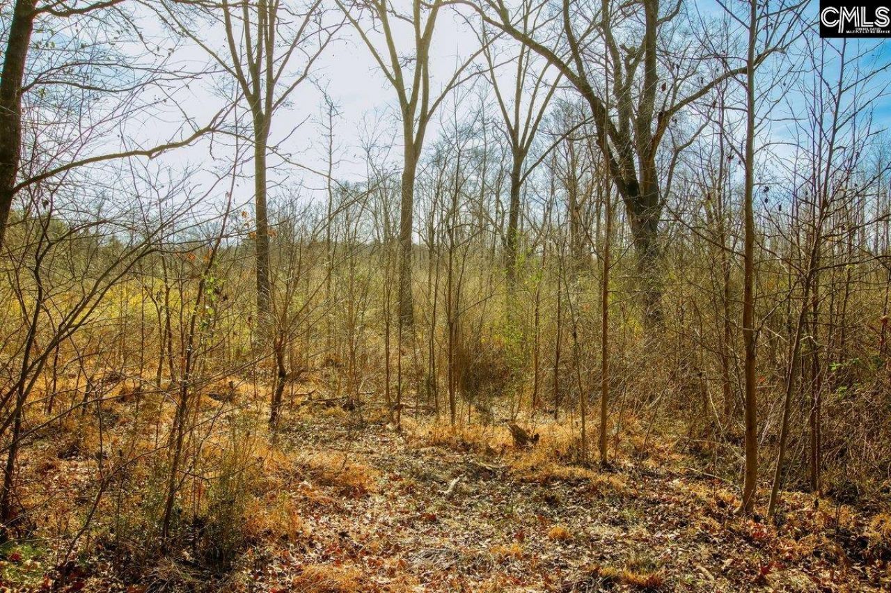 561 Church Road  Photo 14