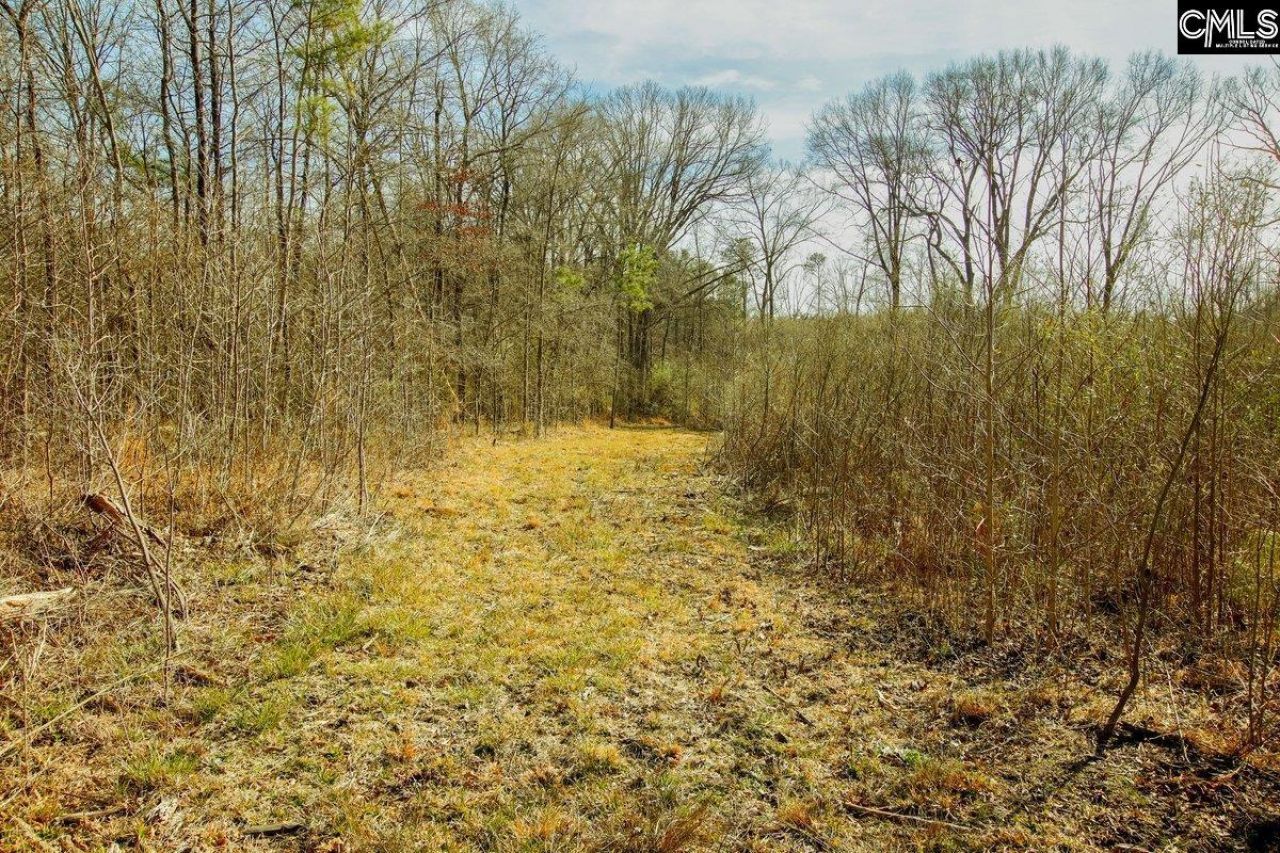 561 Church Road  Photo 15