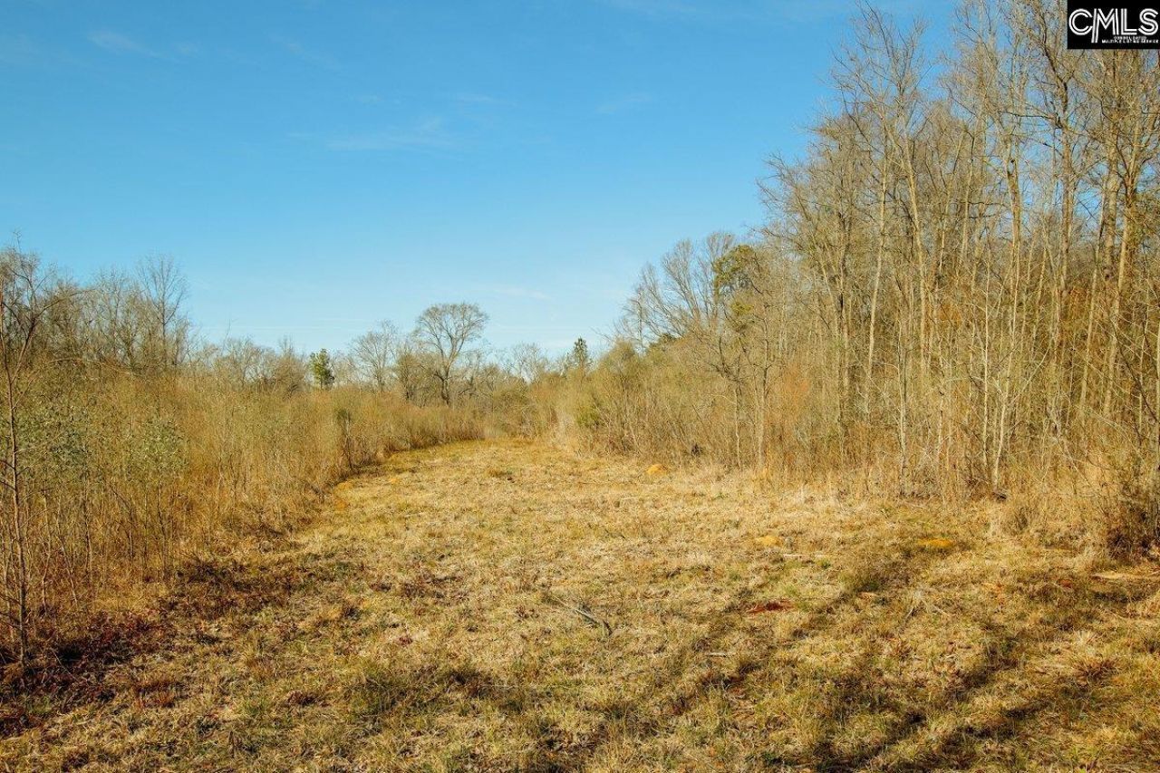 561 Church Road  Photo 16