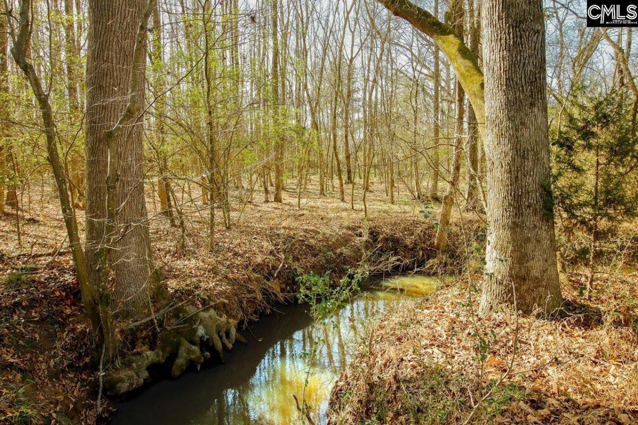 561 Church Road  Photo 17