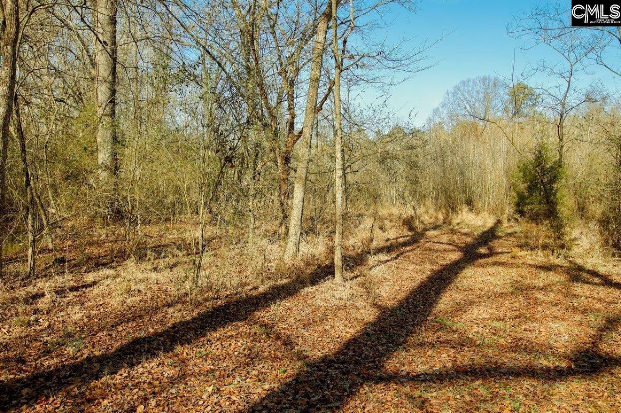 561 Church Road  Photo 18