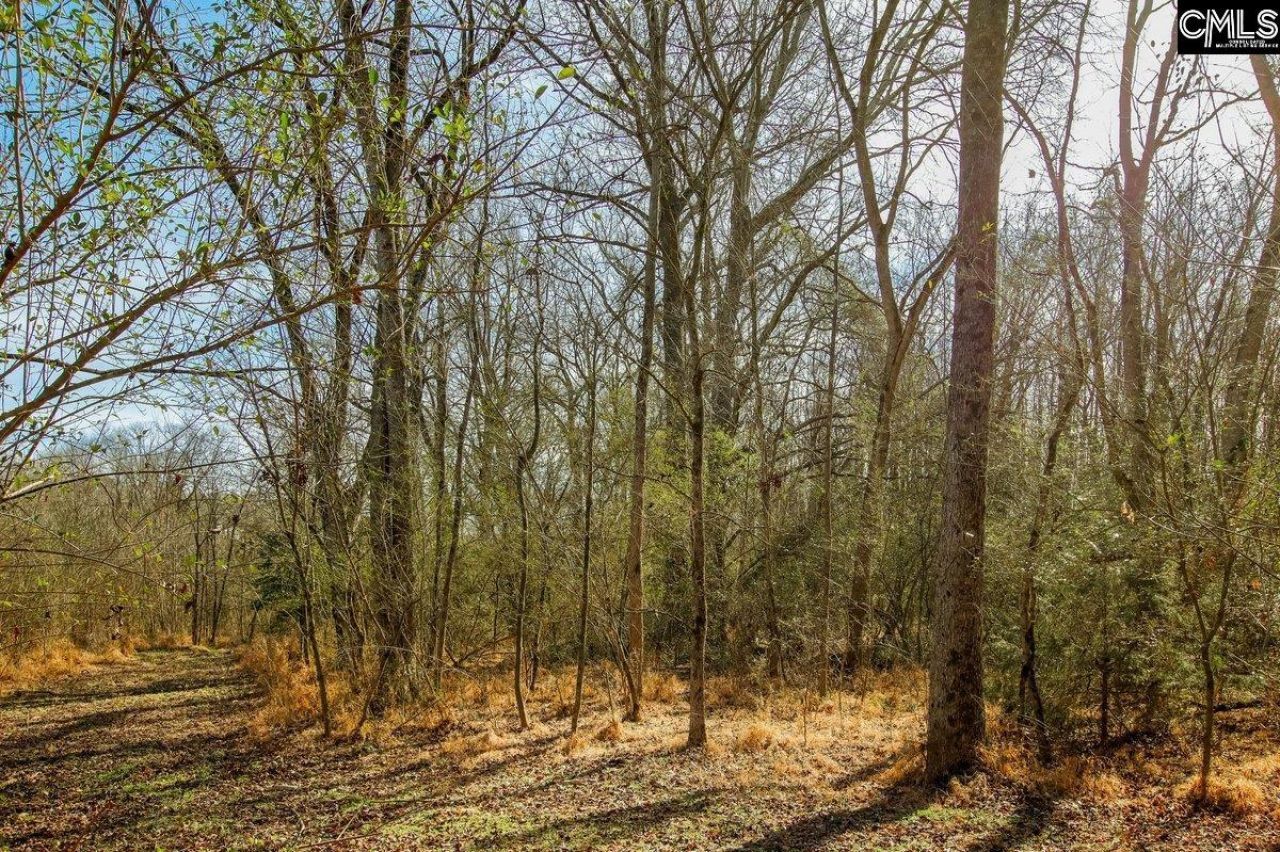 561 Church Road  Photo 19