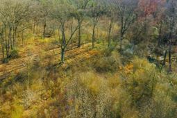 561 Church Road  photo 4