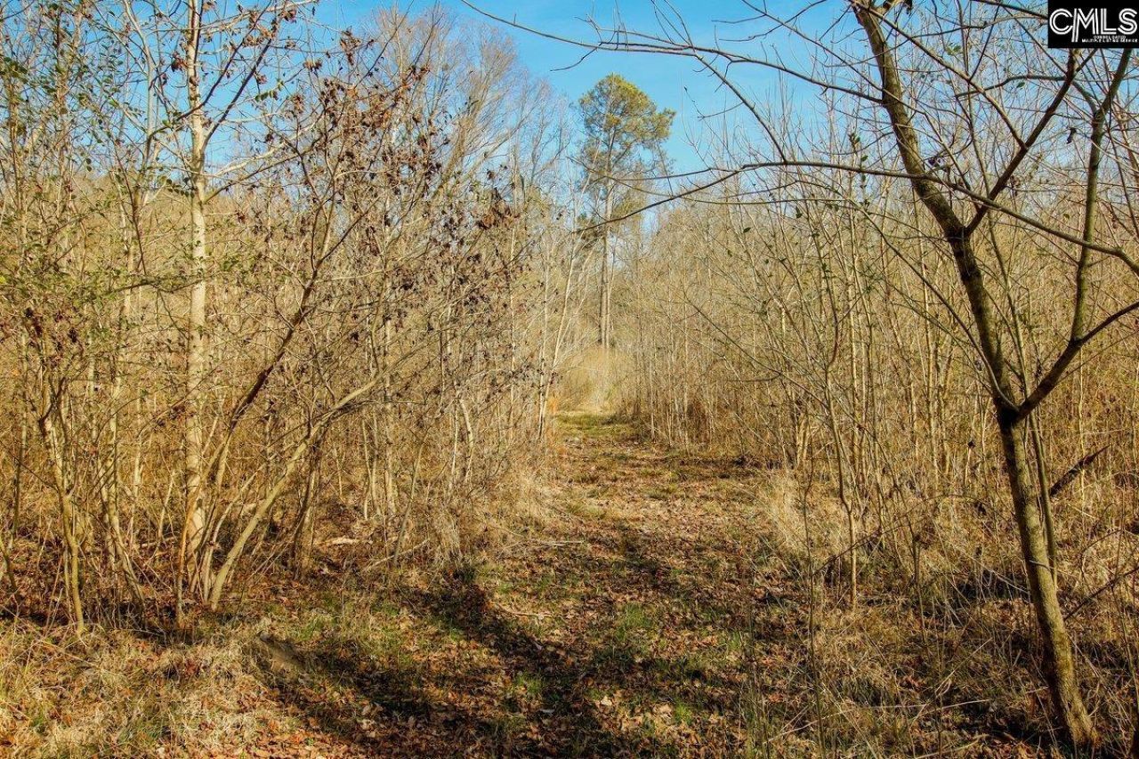 561 Church Road  Photo 20