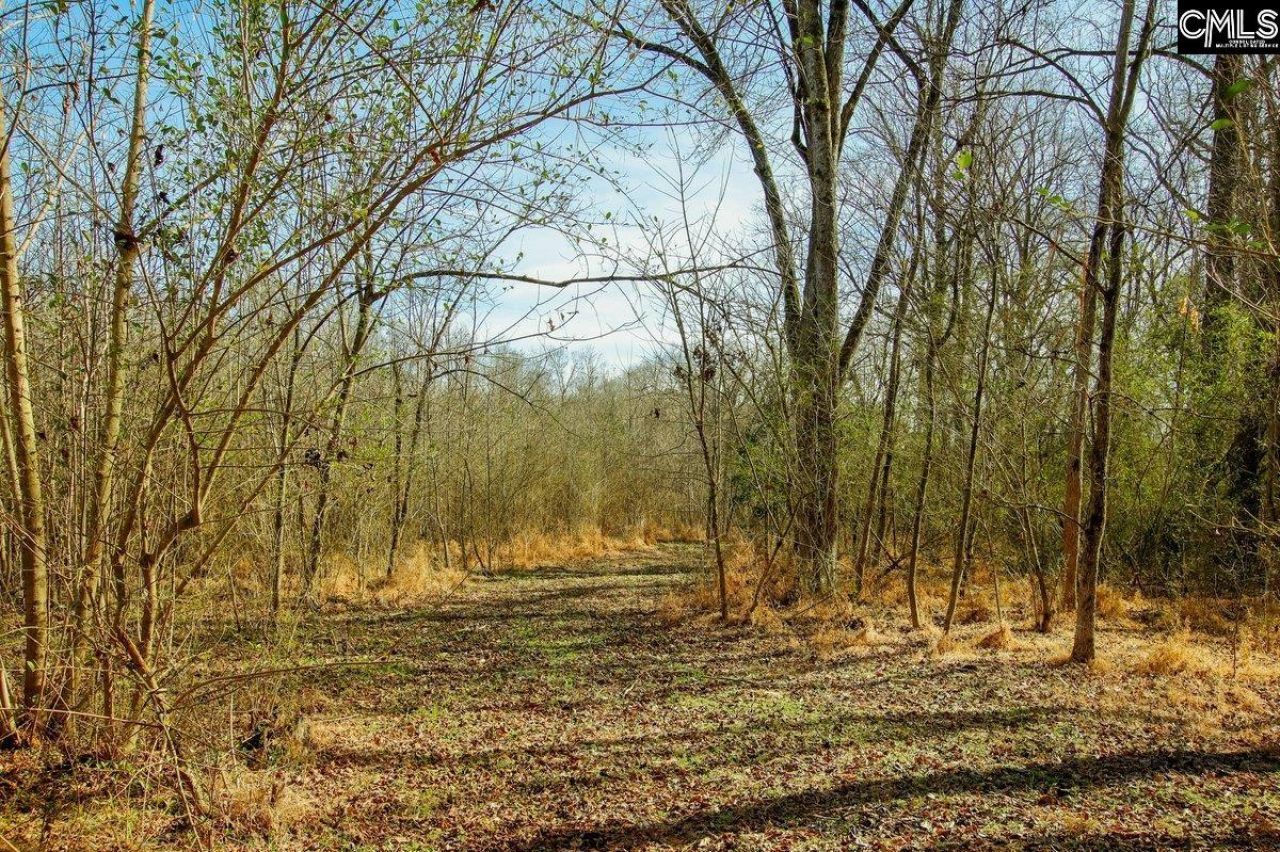 561 Church Road  Photo 21