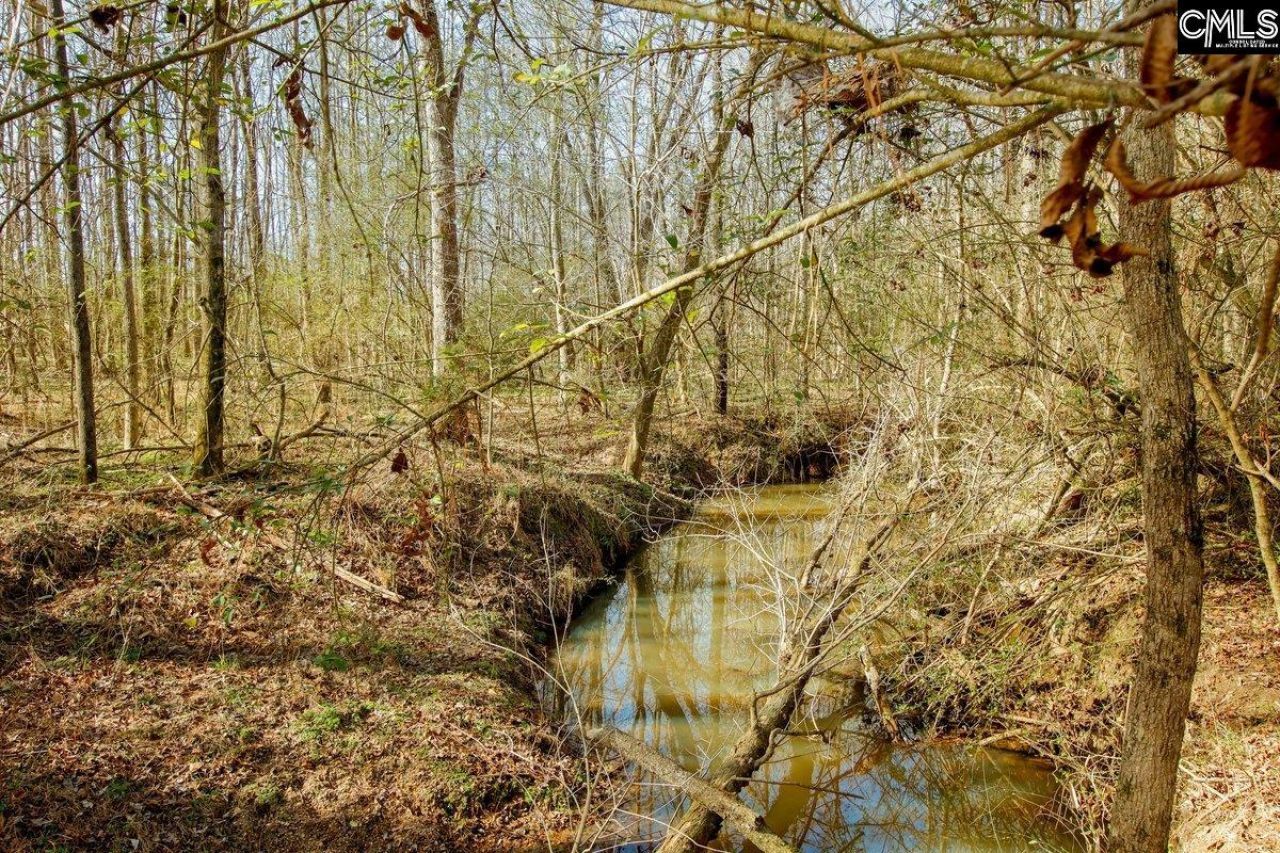 561 Church Road  Photo 22