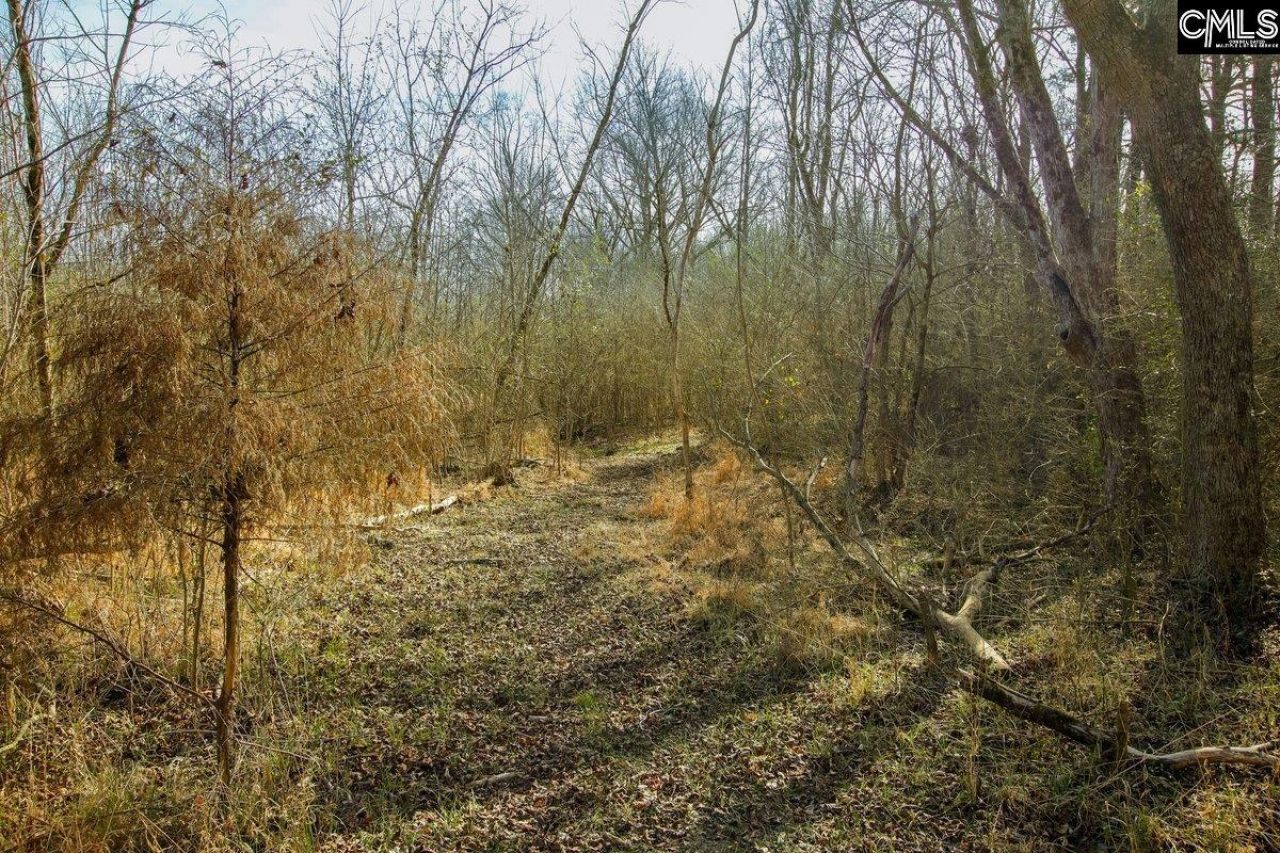 561 Church Road  Photo 23