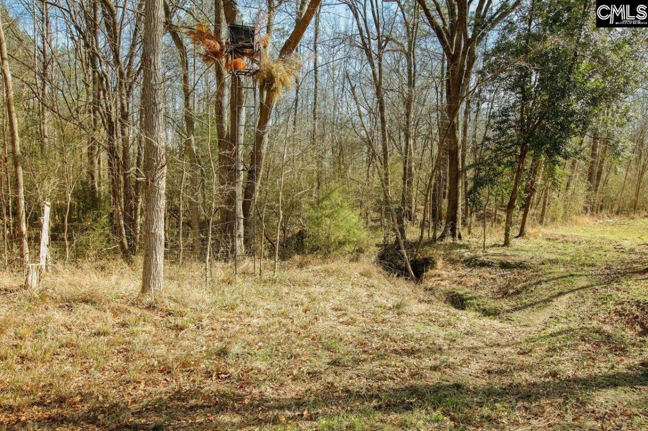 561 Church Road  Photo 24