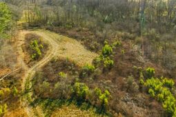 561 Church Road  photo 4