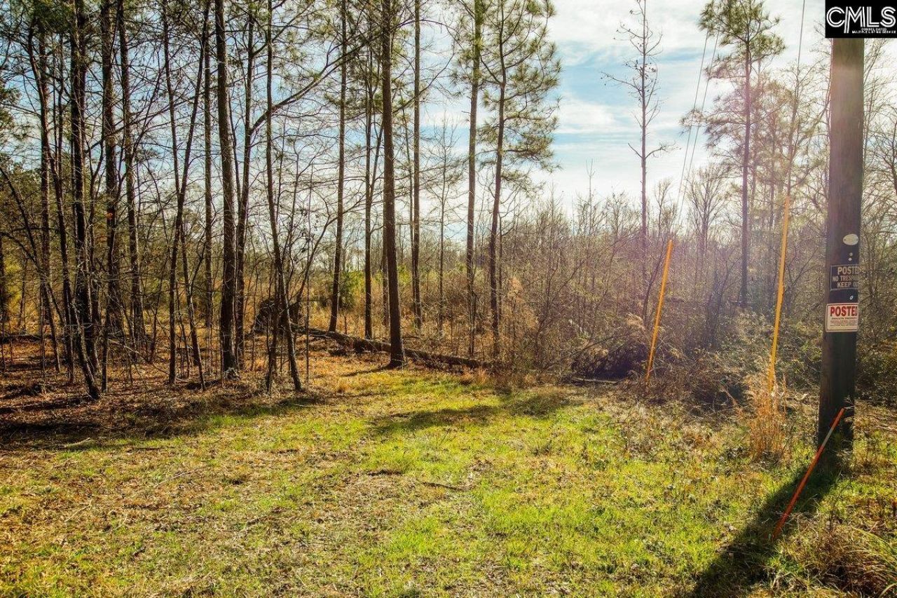 561 Church Road  Photo 4