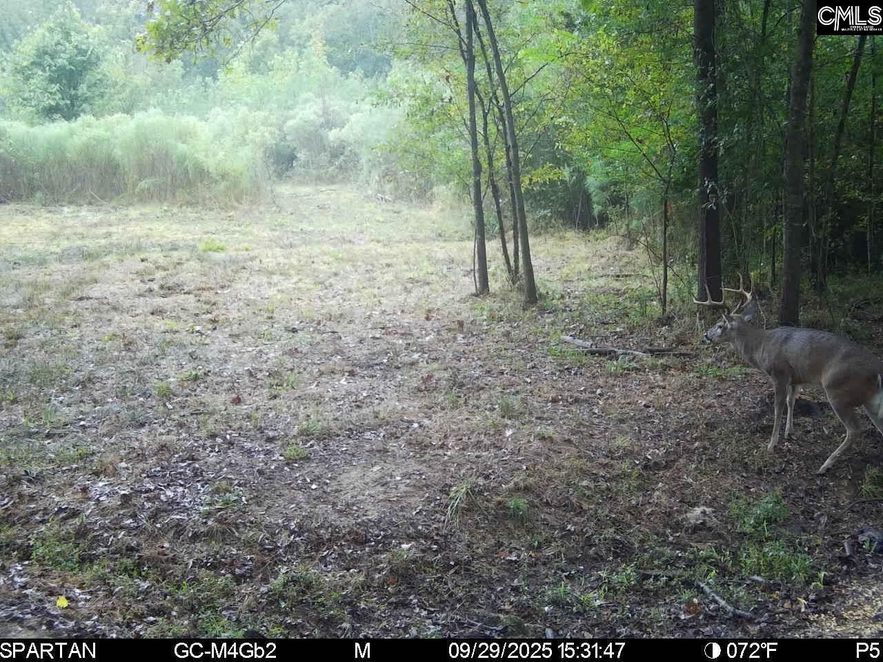 561 Church Road  Photo 5